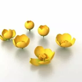 Tulip Flowers 3d model
