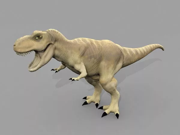 Tyrannosaurus Rex Dinosaur Rigged 3d model