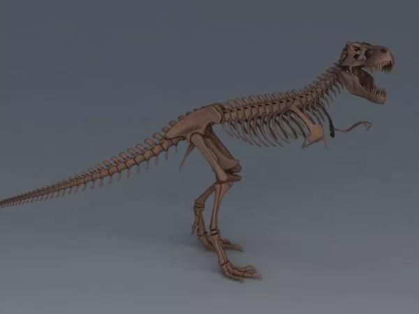 Tyrannosaurus Rex Skeleton 3d model Tyrannosaurus Rex Skeleton 3d model