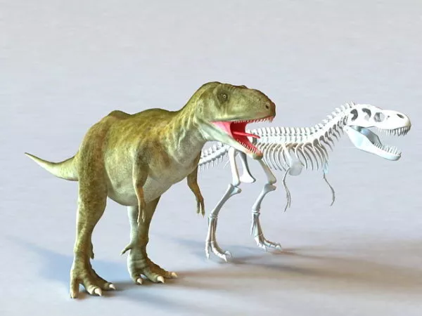 Herrerasaurus Dinosaur 3d model