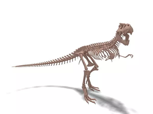 Pterosaur Dinosaur 3d model