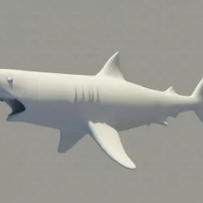 Ugly Shark 3d model