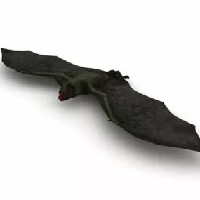 Vampire Bat Animal 3d model