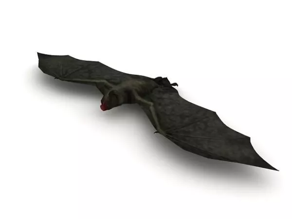 Vampire Bat Animal 3d model Vampire Bat Animal 3d model