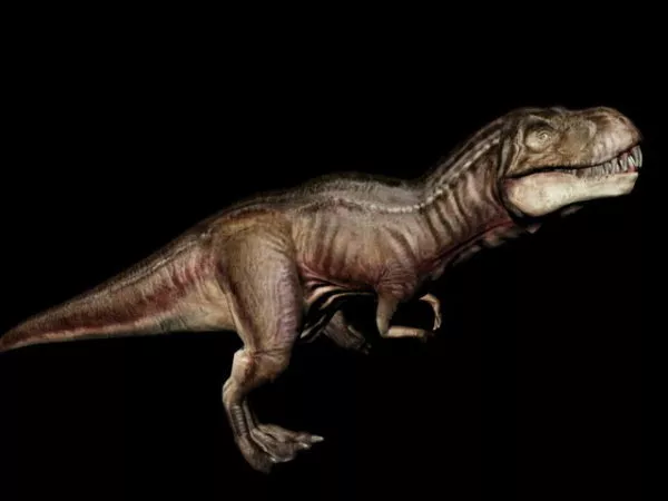 Vastatosaurus Rex Dinosaur 3d model Vastatosaurus Rex Dinosaur 3d model