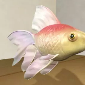 Veiltail Goldfish 3d model