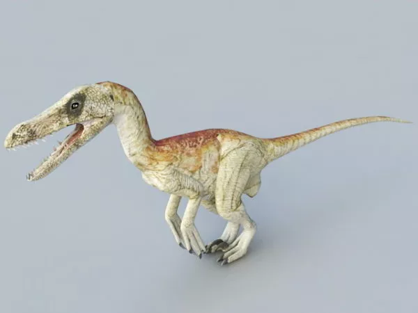 T Rex Dinosaur Animated 3d model