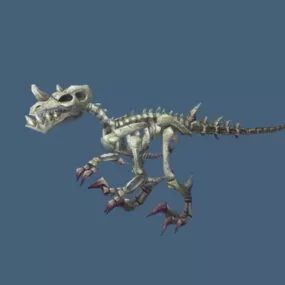 Velociraptor Skeleton 3d model