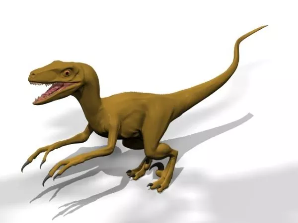 Muttaburrasaurus Dinosaur 3d model