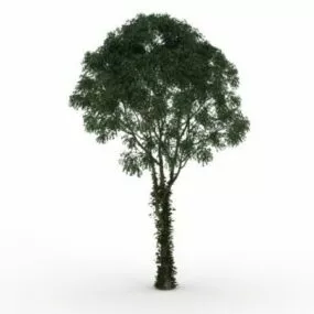 Vine Covered Tree 3d model