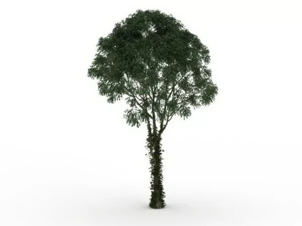 Vine Covered Tree 3d model Vine Covered Tree 3d model