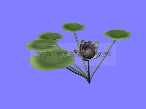 Water Lilies 3d model Water Lilies 3d model
