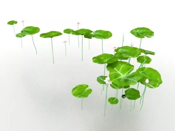 Water Lily Lotus Flower 3d model Water Lily Lotus Flower 3d model