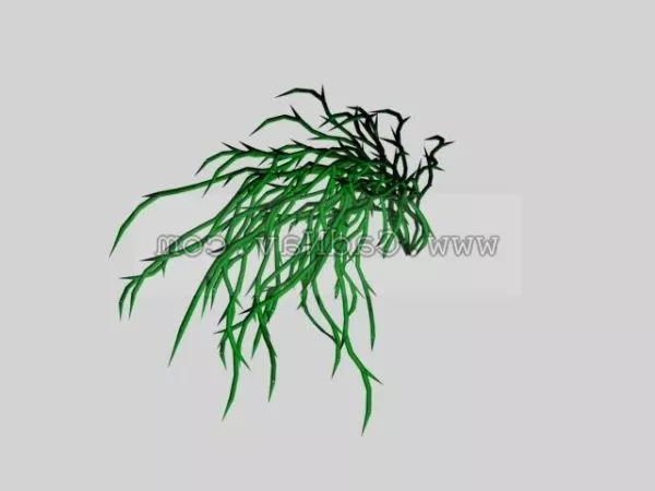 Water Plants Tree 3d model Water Plants Tree 3d model
