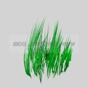 Waterweeds Plant 3d model