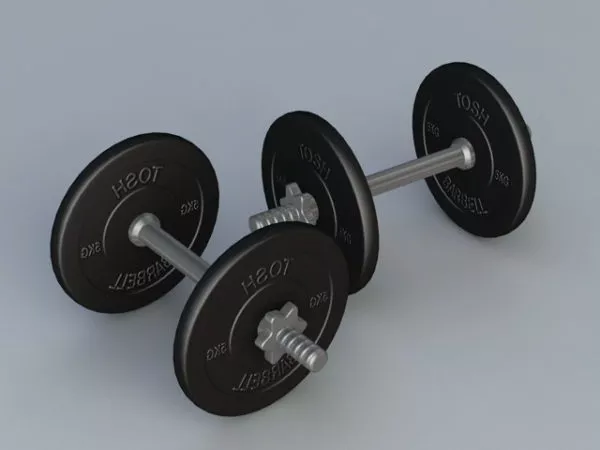 Weight Lifting Dumbbell 3d model Weight Lifting Dumbbell 3d model