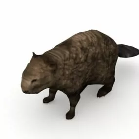 Wild Wetland Animal Beaver 3d model