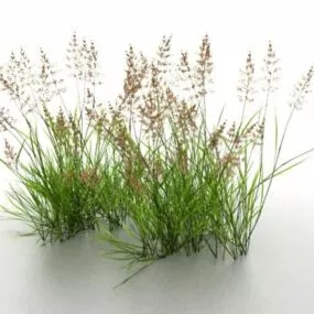 Wetland Reeds 3d model