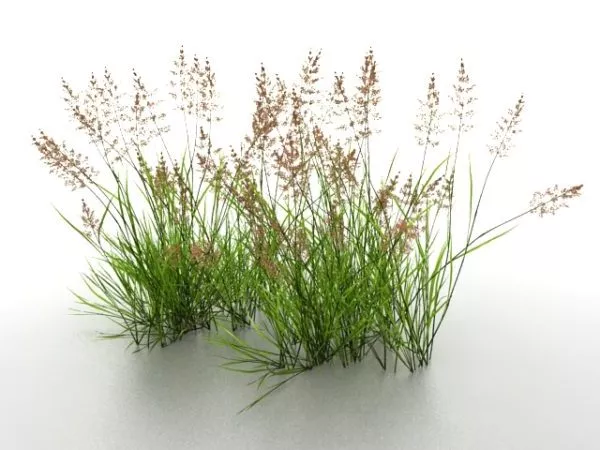 Grass Chunks 3d model