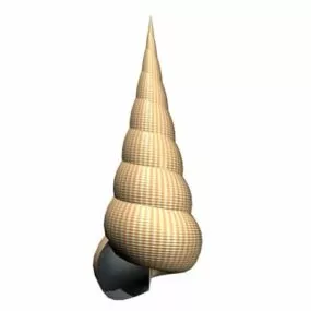 Wild Sea Snail 3d model