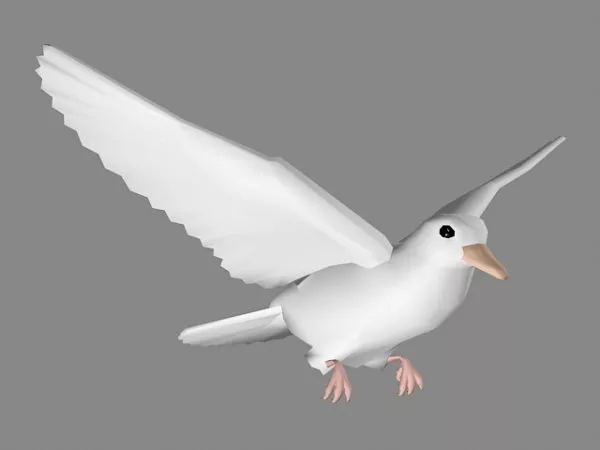 Animated Pigeon With Rigged 3d model
