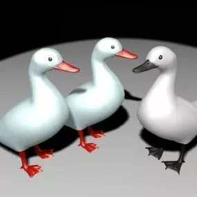 White Ducks 3d model