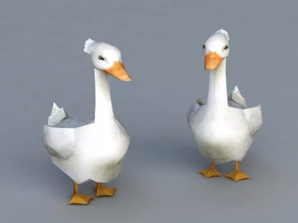White Ducks Animals 3d model White Ducks Animals 3d model