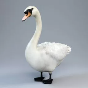 White Goose 3d model