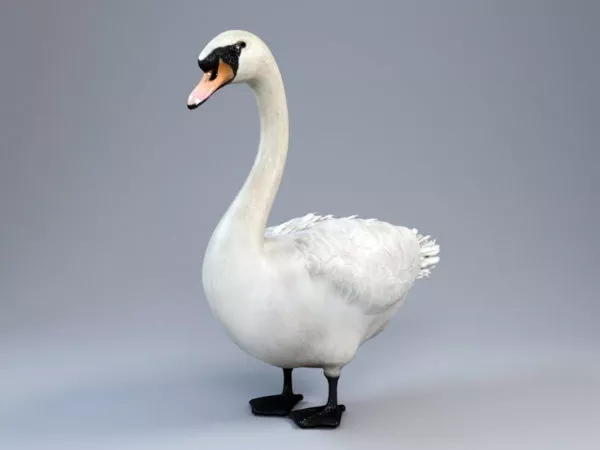 White Goose 3d model White Goose 3d model