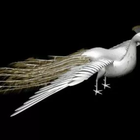 White Peacock 3d model