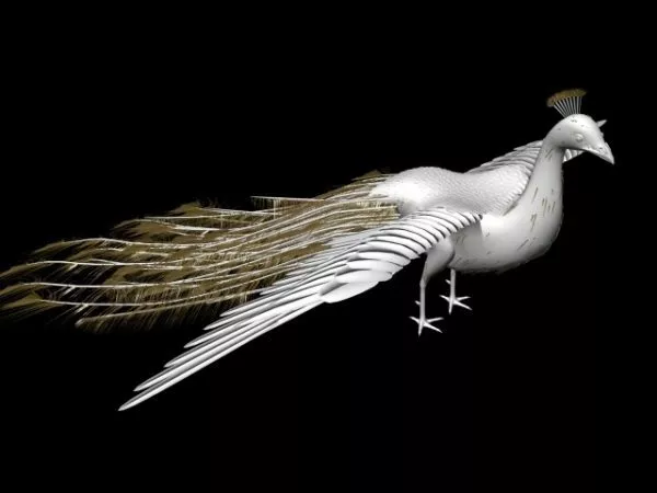 White Peacock 3d model White Peacock 3d model