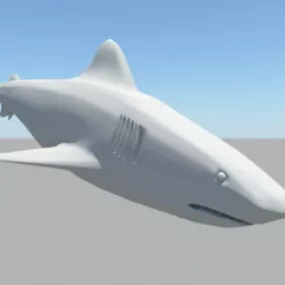 White Shark 3d model