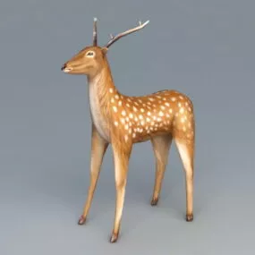 White Spotted Deer 3d model