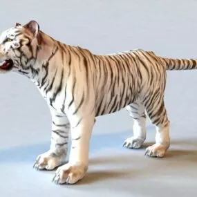 White Tiger Asia 3d model