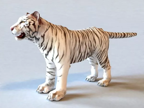 White Tiger 3d model White Tiger 3d model