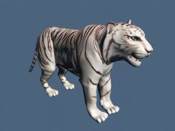 White Tiger Rigging 3d model White Tiger Rigging 3d model