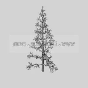 White Cedar Plant 3d model