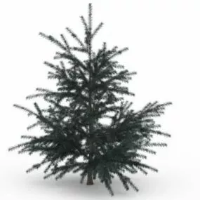 White Fir Tree 3d model