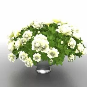 White Potted Flowers 3d model