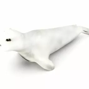 White Seal Animal Animal 3d model