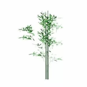 Wild Bamboo 3d model