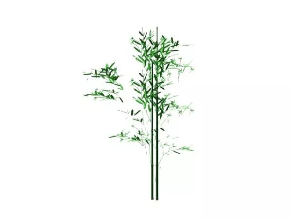 Wild Bamboo 3d model Wild Bamboo 3d model