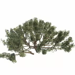 Wild Bushes Plant 3d model