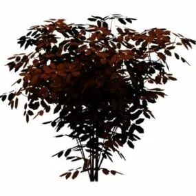 Wild Cherry Tree 3d model