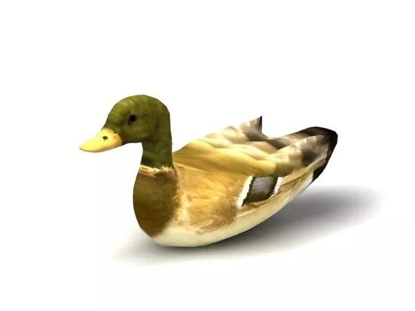 Wild Duck Animal 3d model Wild Duck Animal 3d model