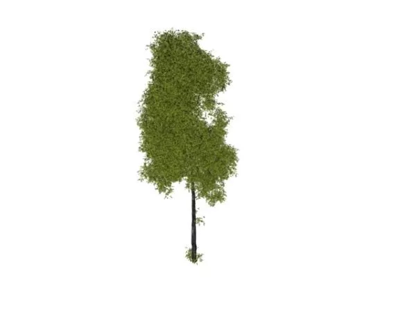 Wild Plant Tree 3d model Wild Plant Tree 3d model