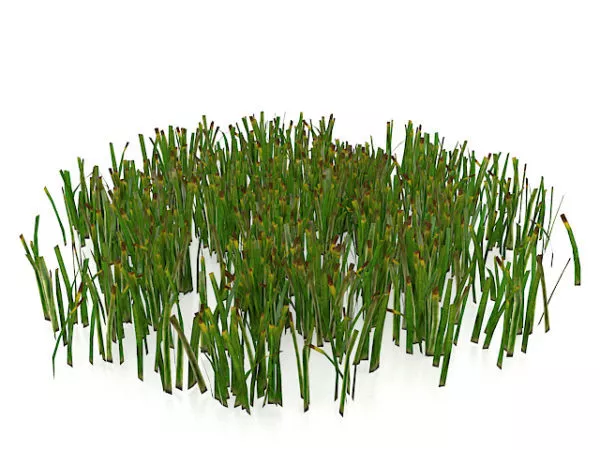 Wilted Grass 3d model Wilted Grass 3d model