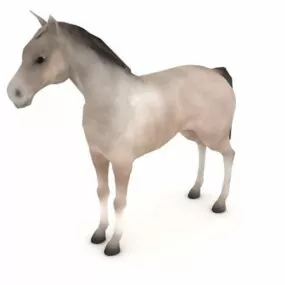 Windsor Grey Horse Animal 3d model