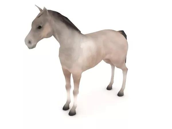 Animated Horse Walking With Rig 3d model
