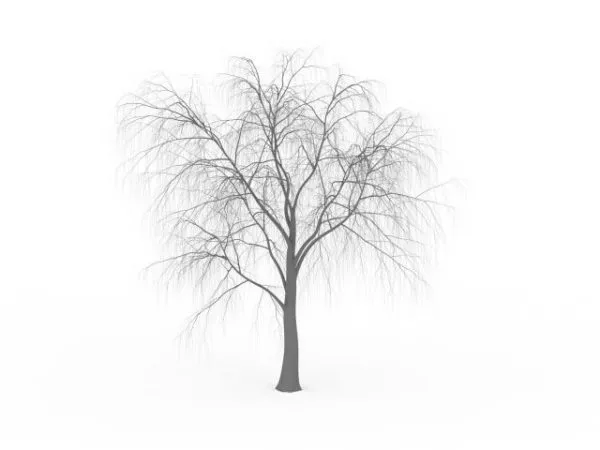 Winter Tree 3d model Winter Tree 3d model